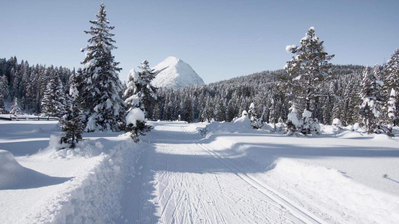 Haus Excelsior Top 29 Seefeld in Tirol Dış mekan fotoğraf