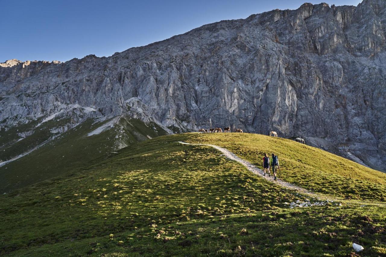 Haus Excelsior Top 29 Seefeld in Tirol Dış mekan fotoğraf